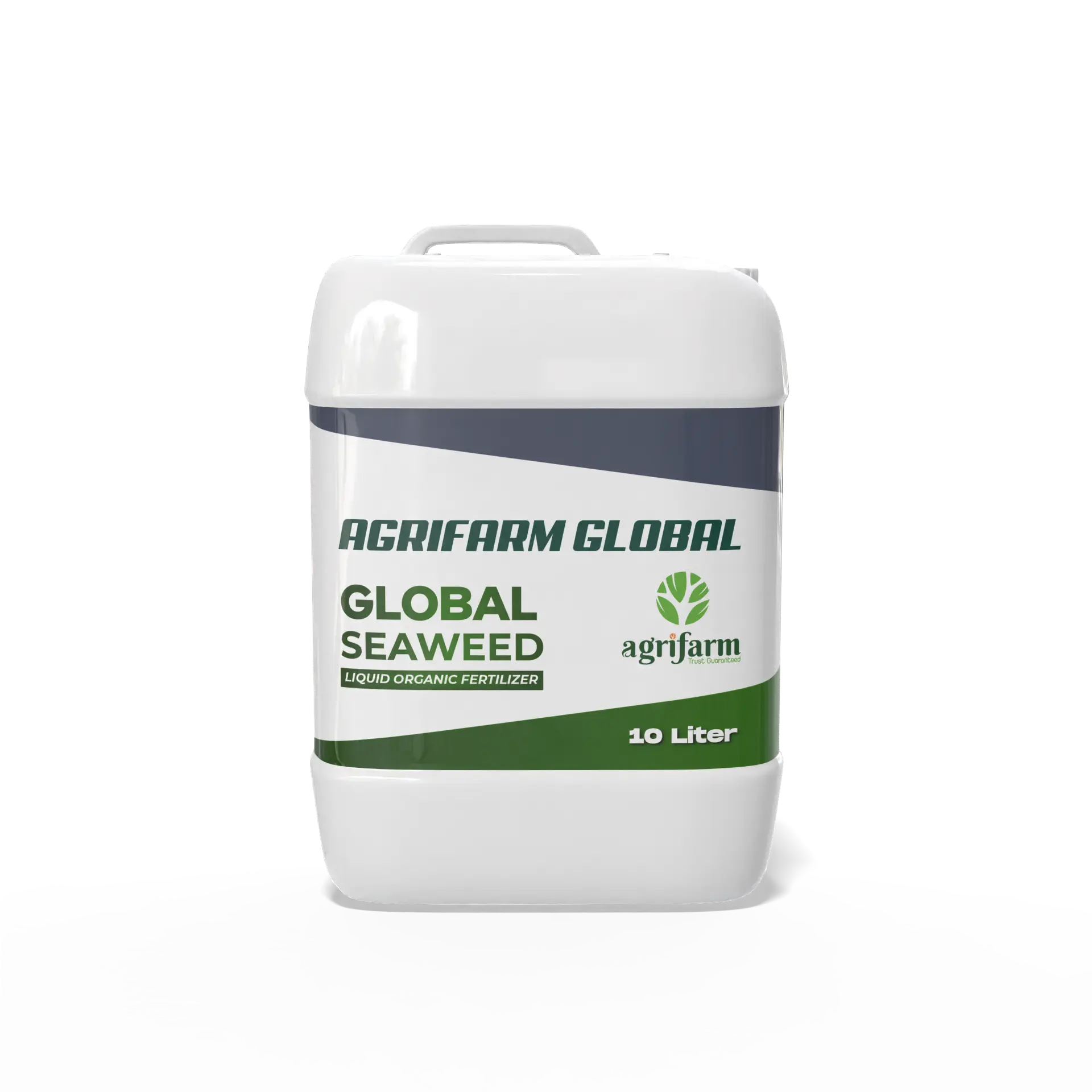 GLOBAL SEAWEED