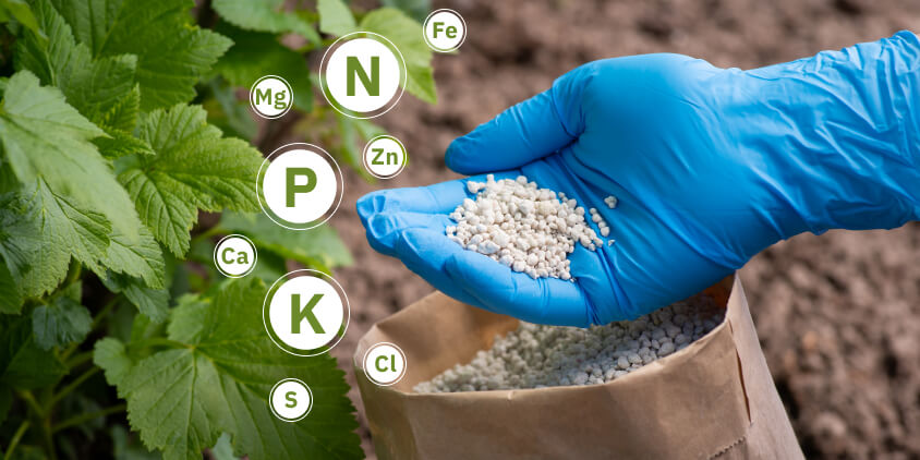 How to Use Organic Fertilizers for Different Types of Crops How to Use Organic Fertilizers for Different Types of Crops